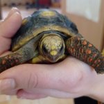 phoca_thumb_m_elva 39 Fotogalerie